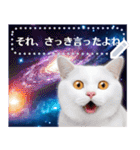 宇宙猫で会話しよう！【メッセージver】（個別スタンプ：12）