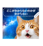 宇宙猫で会話しよう！【メッセージver】（個別スタンプ：14）