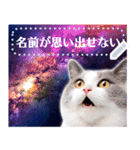 宇宙猫で会話しよう！【メッセージver】（個別スタンプ：15）