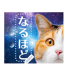 宇宙猫で会話しよう！【メッセージver】（個別スタンプ：20）