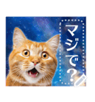 宇宙猫で会話しよう！【メッセージver】（個別スタンプ：21）