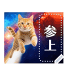 宇宙猫で会話しよう！【メッセージver】（個別スタンプ：22）