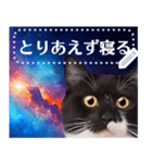 宇宙猫で会話しよう！【メッセージver】（個別スタンプ：23）