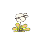 食虫植物モウセン-MoMoの幸せな生活（個別スタンプ：3）