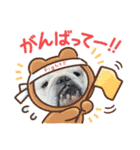 ブルドッグまめ LINEスタンプ！（個別スタンプ：12）