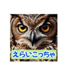 生き物のおしゃべり: 地元の言葉！（個別スタンプ：29）