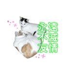 ピーチ・オ・レ（個別スタンプ：1）
