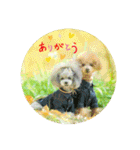 えいるいワンコ挨拶（個別スタンプ：1）