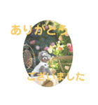 えいるいワンコ挨拶（個別スタンプ：6）