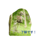 えいるいワンコ挨拶（個別スタンプ：15）