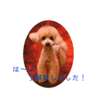 えいるいワンコ挨拶（個別スタンプ：17）