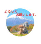 えいるいワンコ挨拶（個別スタンプ：23）