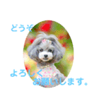 えいるいワンコ挨拶（個別スタンプ：24）