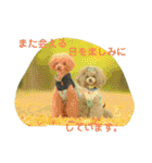 えいるいワンコ挨拶（個別スタンプ：27）