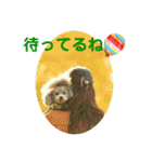 えいるいワンコ挨拶（個別スタンプ：39）