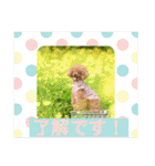 お友だちワンコレオ（個別スタンプ：8）