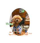 お友だちワンコレオ（個別スタンプ：20）