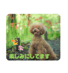 お友だちワンコレオ（個別スタンプ：32）