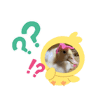るきあ みく（個別スタンプ：5）