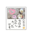 るきあ みく（個別スタンプ：6）