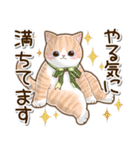 ずっと使える♡ポジティブねこスタンプ①（個別スタンプ：28）