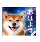 宇宙の柴犬で会話しよ！【メッセージ】（個別スタンプ：1）