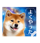 宇宙の柴犬で会話しよ！【メッセージ】（個別スタンプ：2）