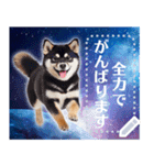 宇宙の柴犬で会話しよ！【メッセージ】（個別スタンプ：3）