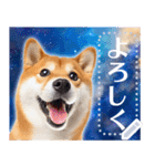 宇宙の柴犬で会話しよ！【メッセージ】（個別スタンプ：4）