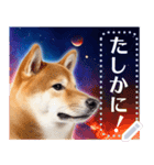 宇宙の柴犬で会話しよ！【メッセージ】（個別スタンプ：5）