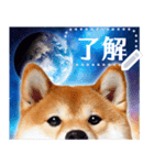 宇宙の柴犬で会話しよ！【メッセージ】（個別スタンプ：6）