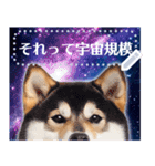 宇宙の柴犬で会話しよ！【メッセージ】（個別スタンプ：8）