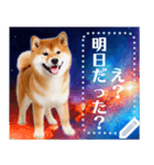 宇宙の柴犬で会話しよ！【メッセージ】（個別スタンプ：9）