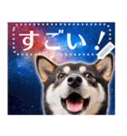 宇宙の柴犬で会話しよ！【メッセージ】（個別スタンプ：11）