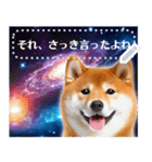 宇宙の柴犬で会話しよ！【メッセージ】（個別スタンプ：12）