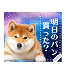 宇宙の柴犬で会話しよ！【メッセージ】（個別スタンプ：13）