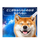 宇宙の柴犬で会話しよ！【メッセージ】（個別スタンプ：14）