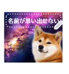 宇宙の柴犬で会話しよ！【メッセージ】（個別スタンプ：15）