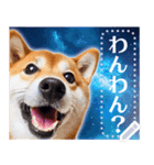 宇宙の柴犬で会話しよ！【メッセージ】（個別スタンプ：17）