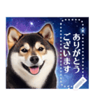 宇宙の柴犬で会話しよ！【メッセージ】（個別スタンプ：19）