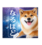 宇宙の柴犬で会話しよ！【メッセージ】（個別スタンプ：20）