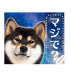 宇宙の柴犬で会話しよ！【メッセージ】（個別スタンプ：21）