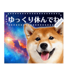 宇宙の柴犬で会話しよ！【メッセージ】（個別スタンプ：23）