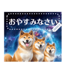 宇宙の柴犬で会話しよ！【メッセージ】（個別スタンプ：24）