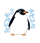 ぽっちゃりとしたペンギンの日常スタンプ（個別スタンプ：7）