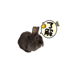 FUJIWARA.Animals（個別スタンプ：3）