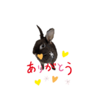 FUJIWARA.Animals（個別スタンプ：5）