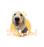 りあんスタンプ②（個別スタンプ：1）