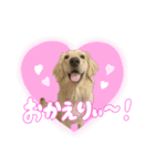 りあんスタンプ②（個別スタンプ：2）