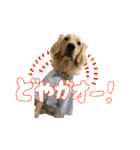 りあんスタンプ②（個別スタンプ：5）